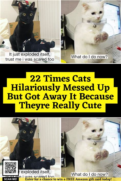 22 Times Cats Hilariously Messed Up But Got Away It Because They Re