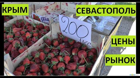 Крым. Севастополь. Цены овощи, фрукты, мясо... - YouTube