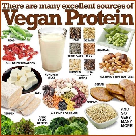 The Most Satisfying Vegetarian Foods High In Protein – Easy Recipes To