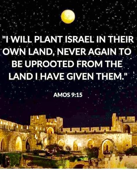 Pin By Cindy Ramm Doucette On Israel Biblical Israel Never Again