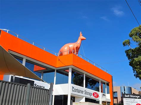 inflatable kangaroo costume 1