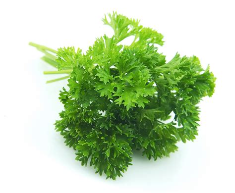 PARSLEY-CURLY | Mister Produce