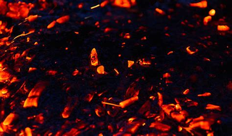 Ember Stock Photos, Pictures & Royalty-Free Images - iStock