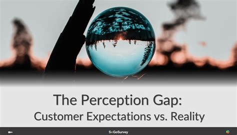 The Perception Gap Customer Expectations Vs Reality Ppt