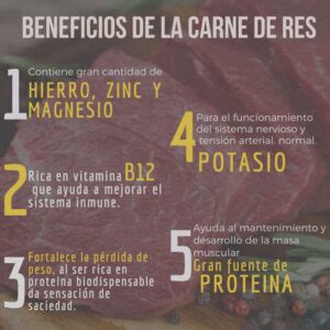 Propiedades Nutricionales De La Carne De Res Es Ganaderia