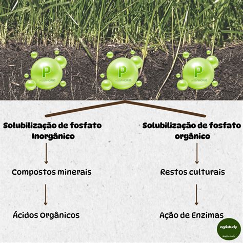 O Que é Solubilização - 7