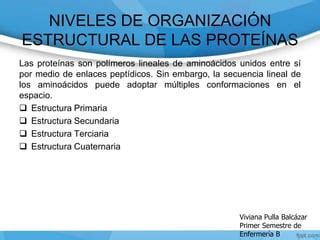 Clasificación de las Proteinas y Aminoácidos PPT