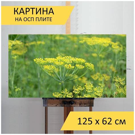 Фотообои на стену зонтики укропа — купить по низкой цене на Яндекс Маркете