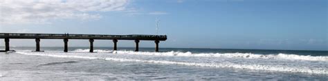 Port Elizabeth - Wikitravel