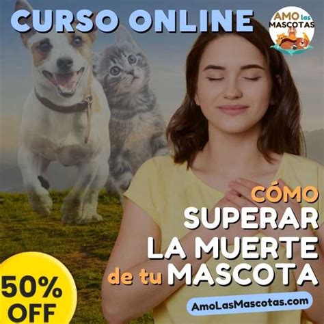 C Mo Superar La Muerte De Tu Mascota Amo Las Mascotas