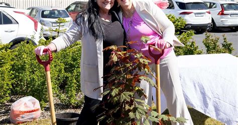 Sextíu og sex ný hjúkrunarrými í Mosfellsbæ RÚV is