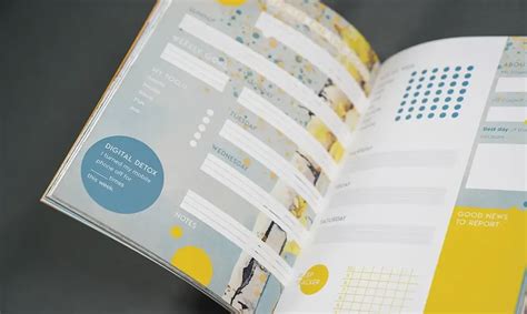 Explore Quality: The Journal | Accent Opaque