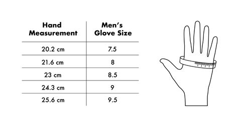 Size Guide – Raspberry x Seven
