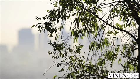 Vixen Two Horny College Students Volunteer To Be Filmed Threesome Porn XHamster