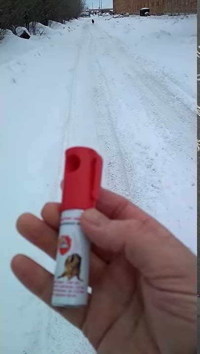 Испытание ультразвукового баллончика "Контроль-АС" - YouTube