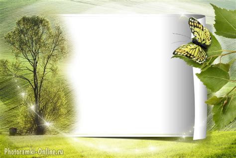 Вставить фото в летнюю фоторамку с бабочкой