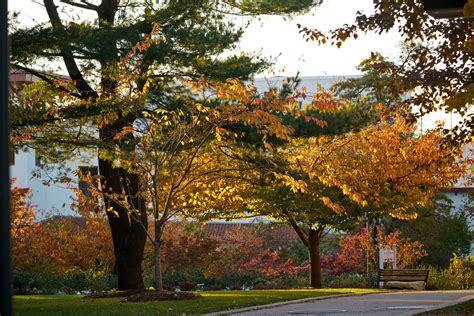 Preparing For The Fall 2022 Semester – Instructional Technology And Design Services - Montclair