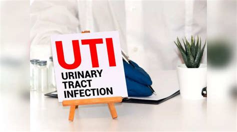 What Happens When You Don T Pee Before And After Sex