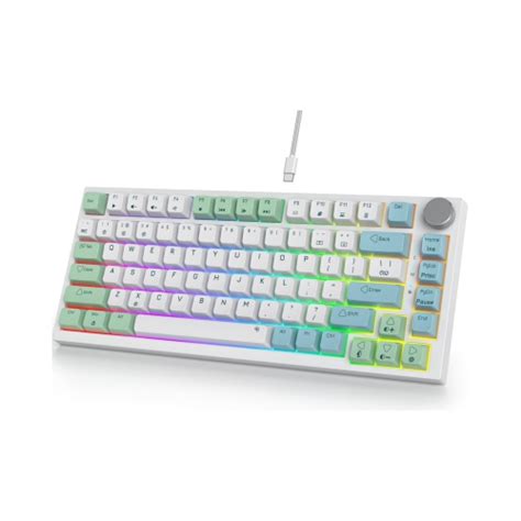 Wired Percent Mechanical Keyboard Hot Swappable Red Switch Tkl Mechanical Keyboard