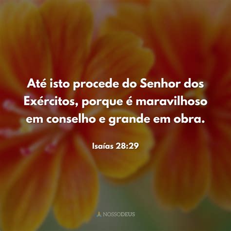 Frases B Blicas De Sabedoria Para Viver Primor Os Projetos De Deus