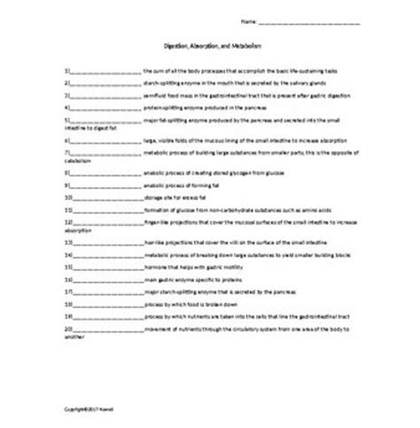 Nutrition And Health Science Worksheet Review Bundle Worksheets Library