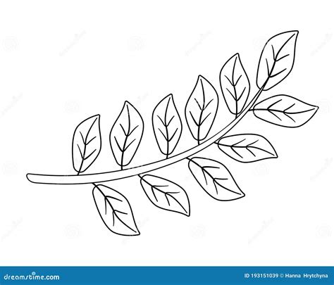 Bifurcación Con Hojas Ilustración Lineal Vectorial Para Colorear Las