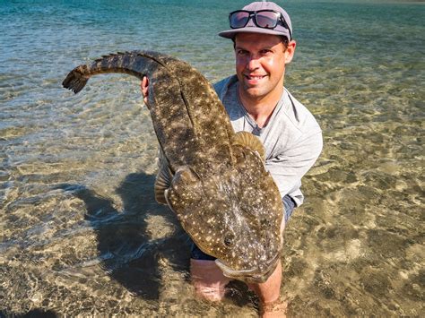 Monster Flathead Is This The Biggest Flathead Ever Caught In Australia