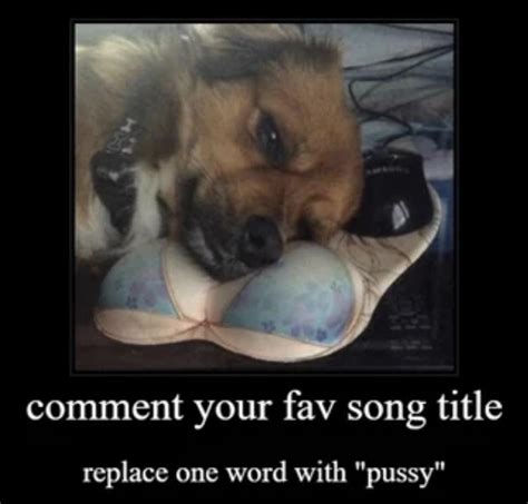 Pussy R PinkFloydCircleJerk