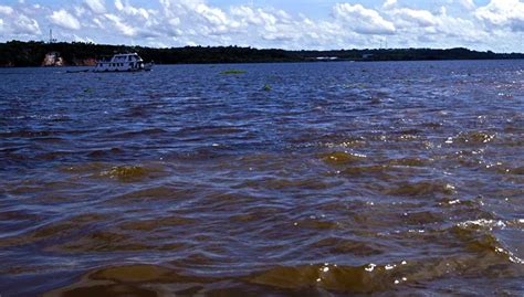 Passeio Tur Stico Em Manaus Encontro Das Guas Nadar Botos