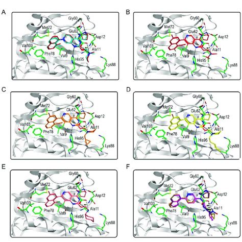 Predicted Binding Modes A The Docking Conformation Red And The