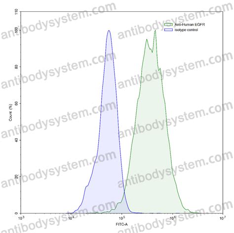 Buy Anti Human Egfrerbb1her1 Antibody 11f8