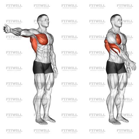 shoulder adduction articulations exercise guide video techniques