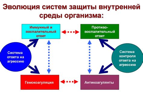 Септическая коагулопатия - презентация онлайн