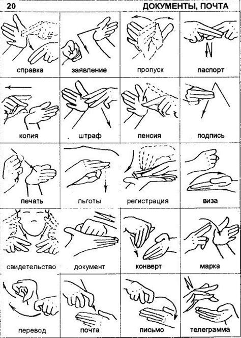 Пин от пользователя Ant B на доске Язык жестов | Язык знаков, Слова ...