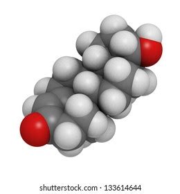 Testosterone Male Sex Hormone Molecular Model Stock Illustration Shutterstock