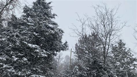 Man dies after falling through skylight while removing snow in Middle ...