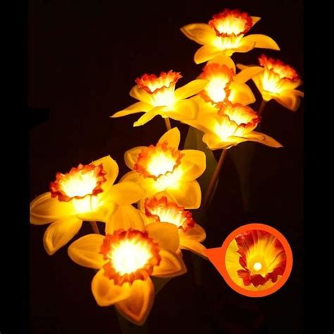 Fleurs Solaires Ip Tanche T Tes Led Jonquilles Fleurs Lampe