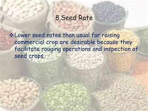 Vegetable Seed Production Good Practice Guide 7