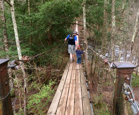 Hiking to Fall Creek Falls - Brownie Bites Blog