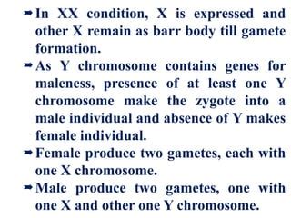 Sex Determination In Humans Pdf