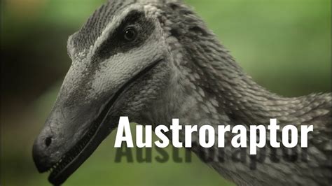 Austroraptor the largest Dromaeosaur in the Southern Hemisphere - YouTube