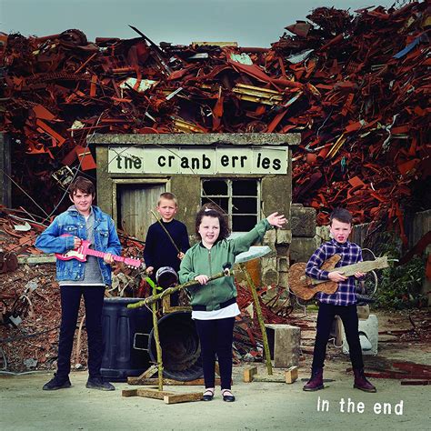 The Cranberries In The End Vinyl Musiczone Vinyl Records Cork