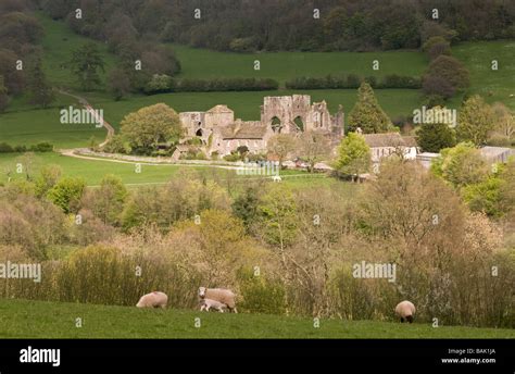 Llanthony Priory in the Black Mountains South Wales Stock Photo - Alamy