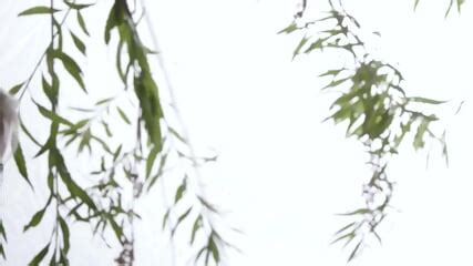 Captain Marvel Xxx Porn Parody