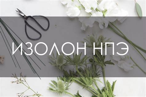 Товары Изолон Ижевск, фоамиран, гофробумага, декор – 1 507 товаров ...