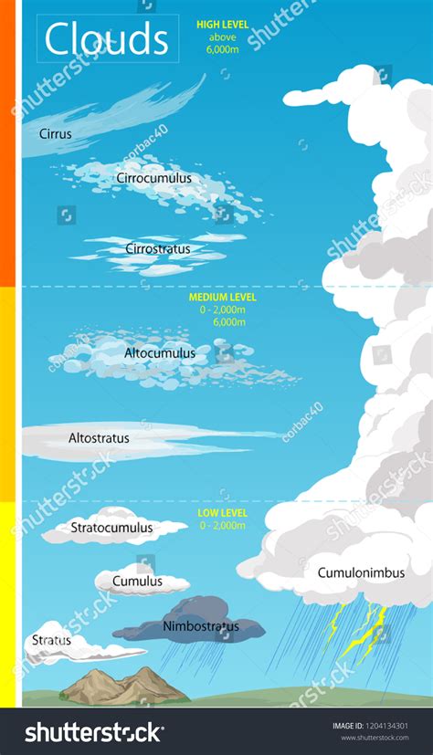 Vector Illustration Illustration Various Cloud Formations Stock Vector ...