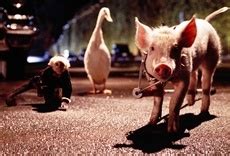 Babe II un chanchito en la ciudad Película en Español FULLTV