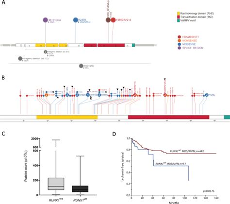 Spectrum Of Abnormalities And Clonal Transformation In Germline RUNX1