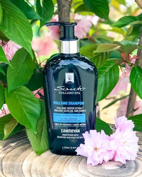 Volcano Shampoo - coloriertes und | Kaufland.de