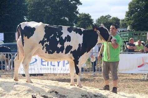 Saint Symphorien Un Comice Agricole Tr S Suivi Saint Malo Maville